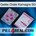 Gelée Orale Kamagra 5G 32